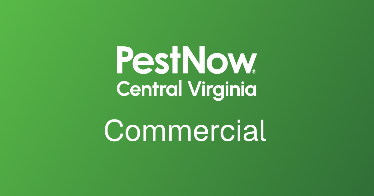 Commercial Pest Control for Virginia Businesses, Restaurants, and More ...