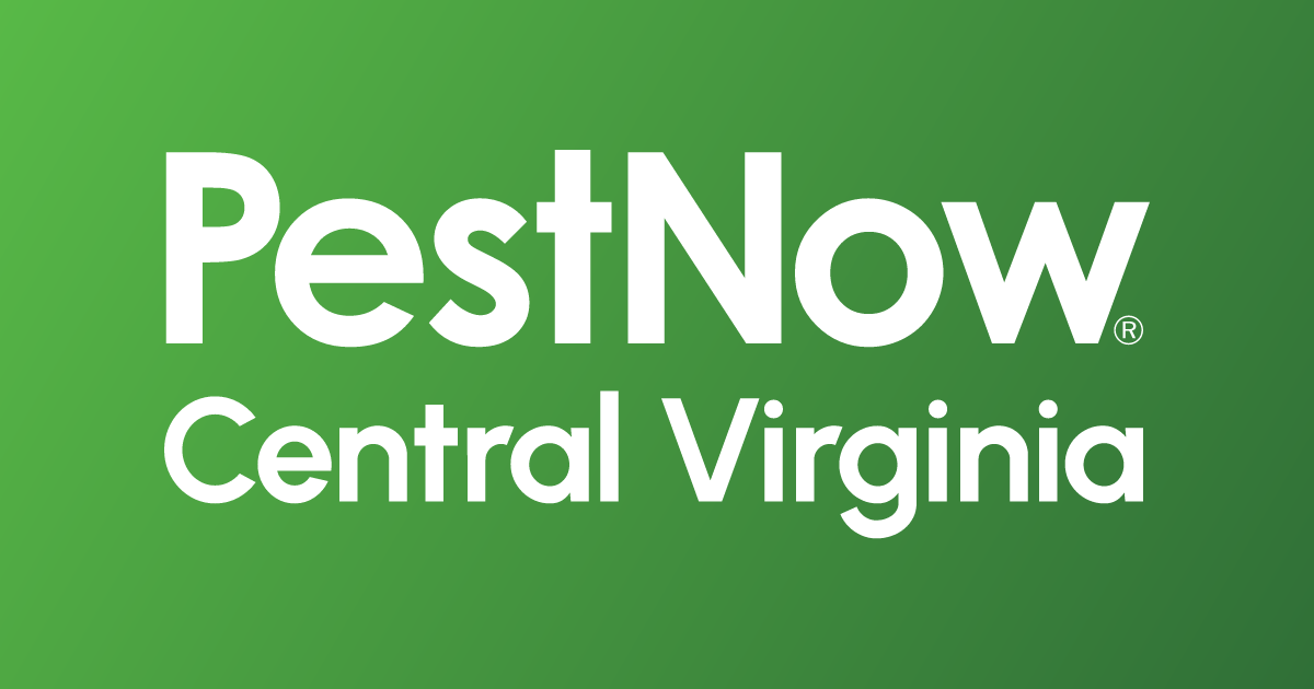 PestNow of Central Virginia | Richmond