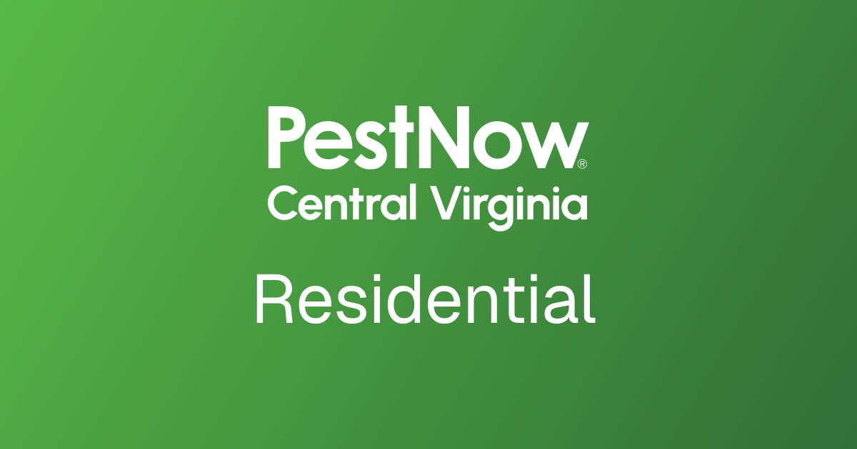 Residential Pest Control for Virginia Homes | PestNow of Central Virginia