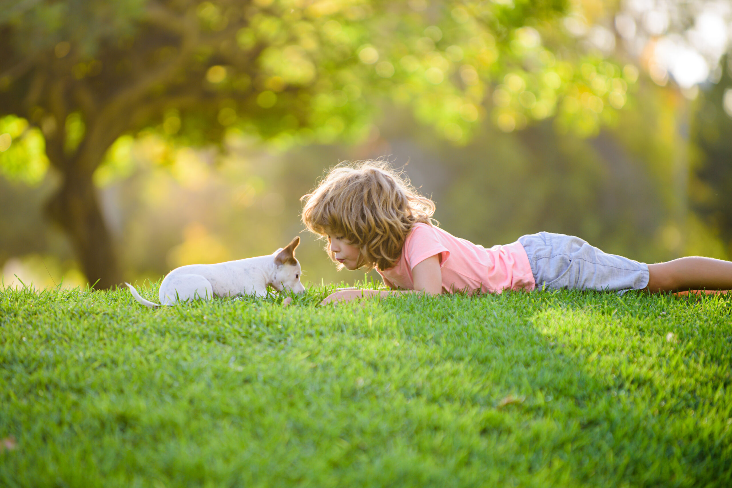 Little girl and puppy laying in the grass