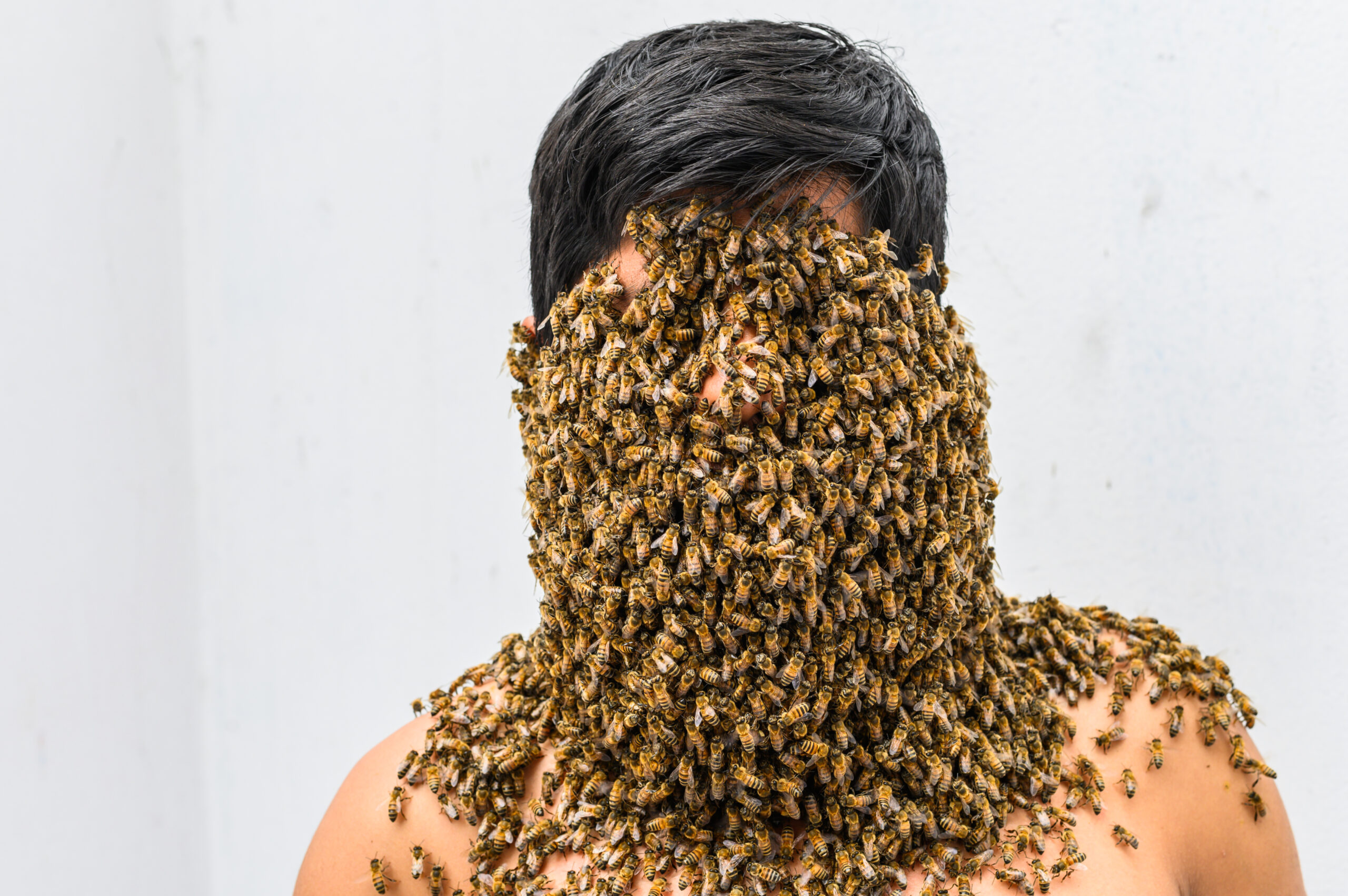 Beekeeper covered by bees, he has the queen bee on his neck so all the bees stick to his body.