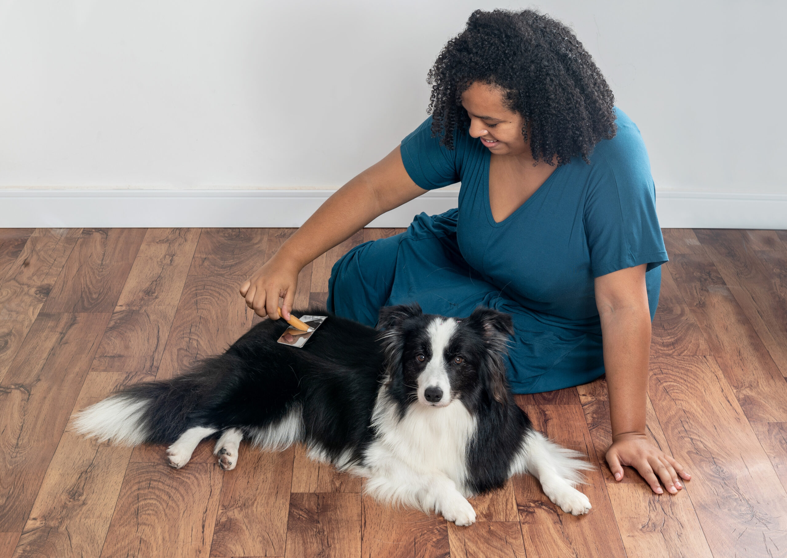 Woman sitting on the floor brushing her border collie to help remove fleas and ticks